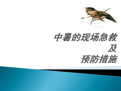 中暑的现场急救措施方案