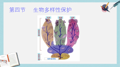 人教版高中地理选修六4.4《生物多样性保护》ppt课件