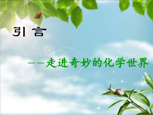 高一化学必修一引言(人教版)