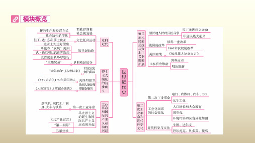 安徽省2020届中考历史(人教部编版)大一轮基础梳理九上 第五单元