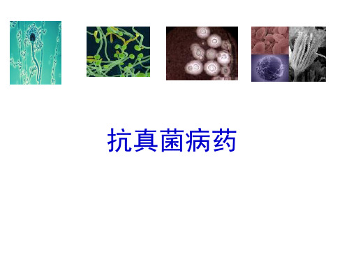 药理学PPT课件 抗真菌病药