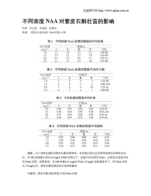 不同浓度NAA对紫皮石斛壮苗的影响