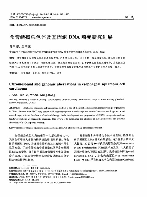 食管鳞癌染色体及基因组DNA畸变研究进展