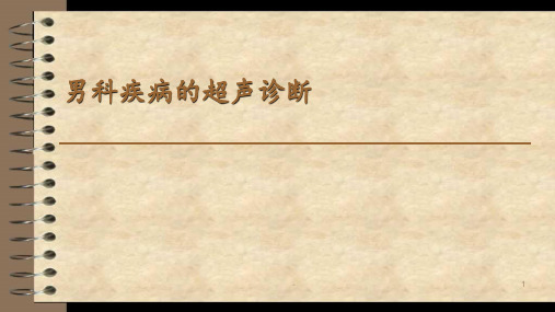 男科疾病的超声诊断.(1)PPT课件