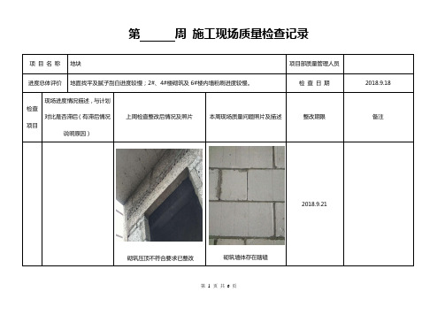 周质量检查表