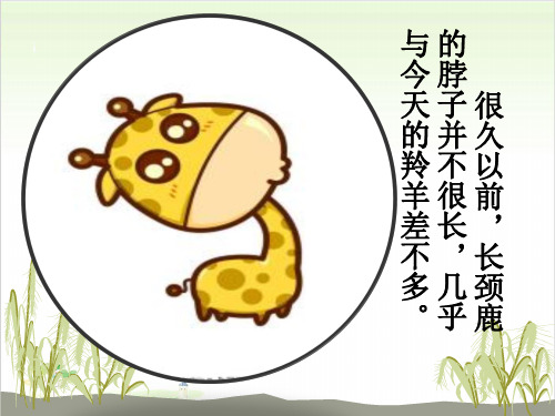 五年级下册科学-生物进化的秘密优秀课件冀教版