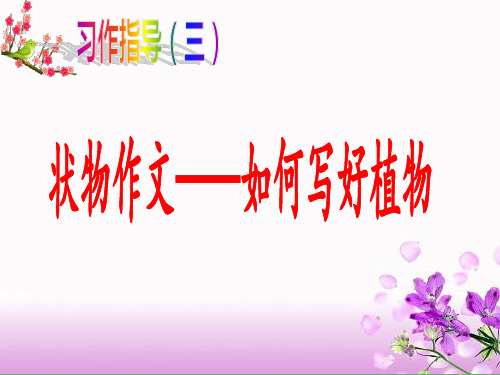 (部编版)统编版三年级上册语文同步扩展作文课件-8写植物作文(共17张PPT)- 