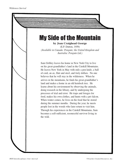 mysideofthemountain