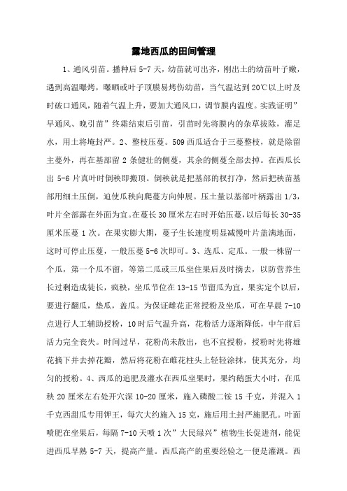 露地西瓜的田间管理