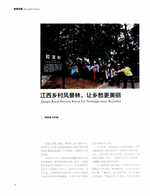江西乡村风景林,让乡愁更美丽