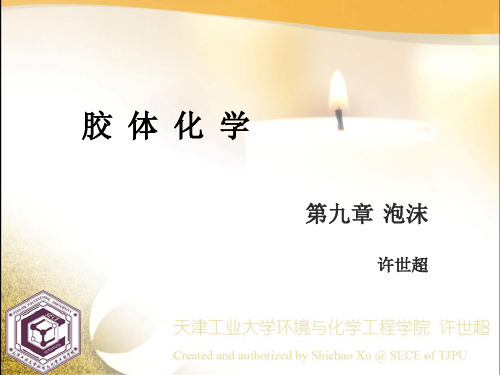胶体化学Part B-泡沫