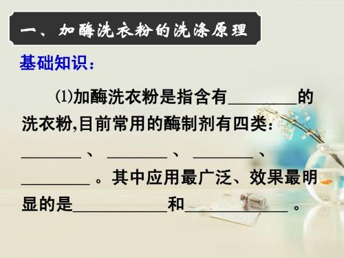 高中生物《第四章 第二节 探讨加酶洗衣服的洗涤效果》课件1 新人教版选修1