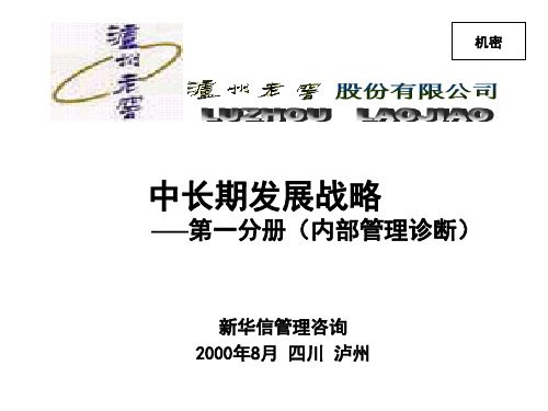 新华信的泸州老窖项目报告一95页PPT