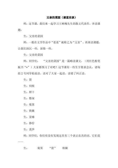 长春版教材语文三年级下册(2019年)父亲的菜园(课堂实录)