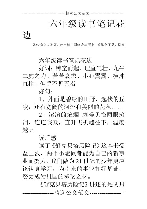 六年级读书笔记花边