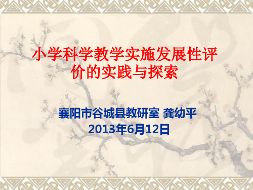 00科学教学发展性评价