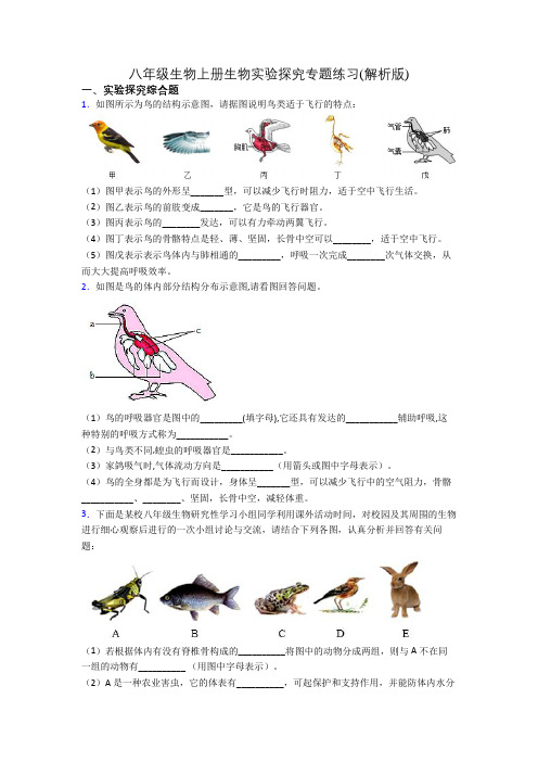 八年级生物上册生物实验探究专题练习(解析版)