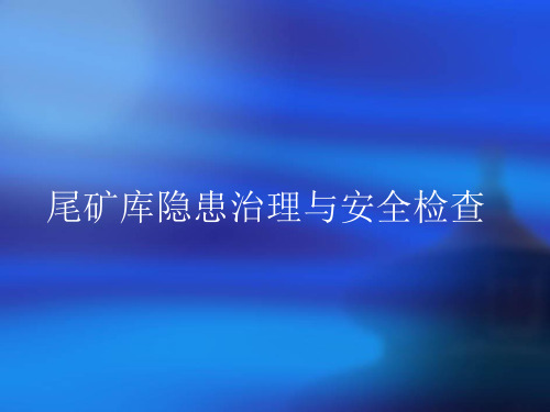 尾矿库隐患治理与安全检查