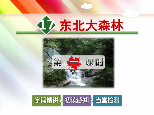 【冀教版】四年级语文下册《17.东北大森林【第1课时】》课件