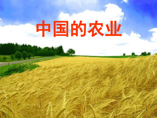 中国地理之中国的农业
