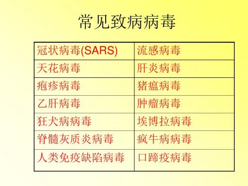 常见致病病毒与疾病PPT课件