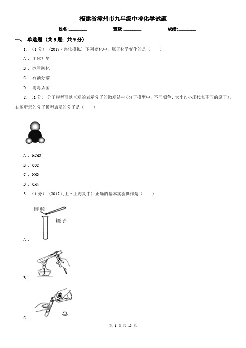 福建省漳州市九年级中考化学试题