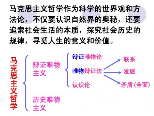 第十一课 寻觅社会的真谛
