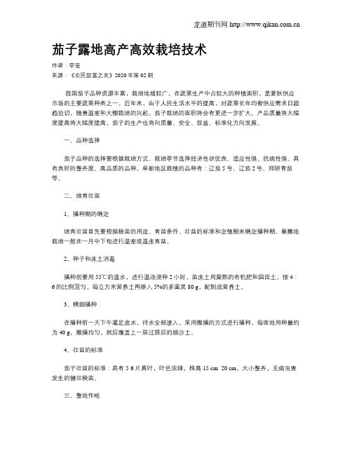 茄子露地高产高效栽培技术