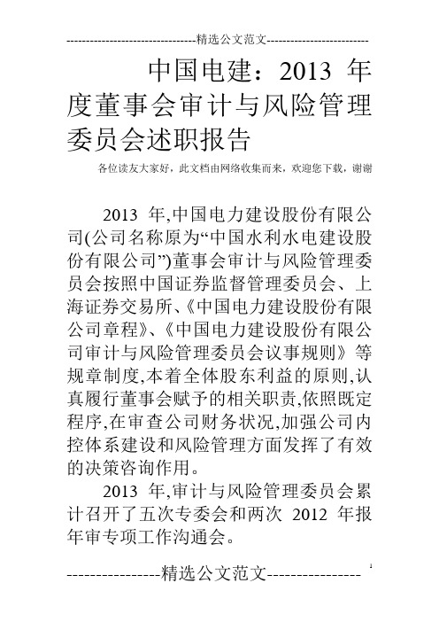 中国电建：2013年度董事会审计与风险管理委员会述职报告  