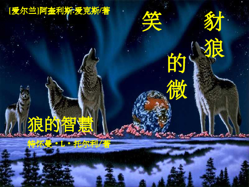《管理者狼的智慧》PPT课件