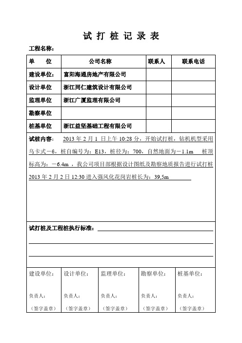 试桩记录表 Word 文档