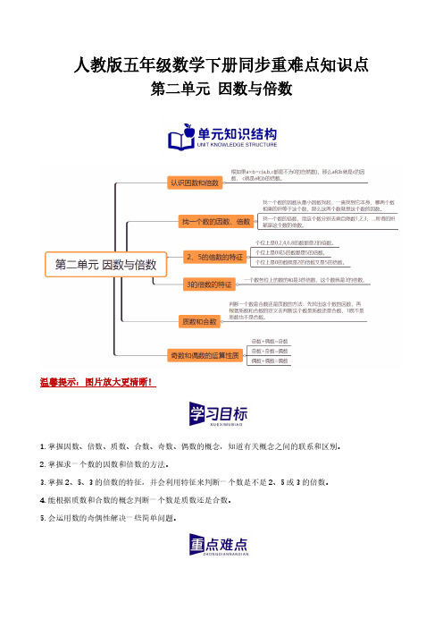 第二单元 因数与倍数--2024年五年级数学下册重难点知识点(人教版)