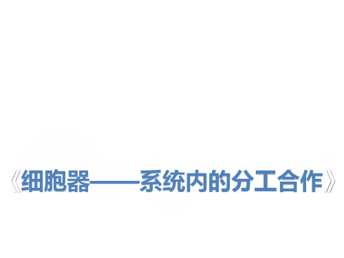 必修一(11)细胞器——系统内的分工合作 课件 2021届高考一轮复习生物(共35张PPT)