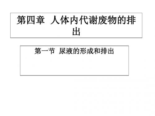 第一节尿液的形成和排出1