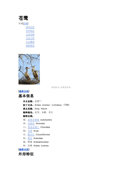 苍鹭
