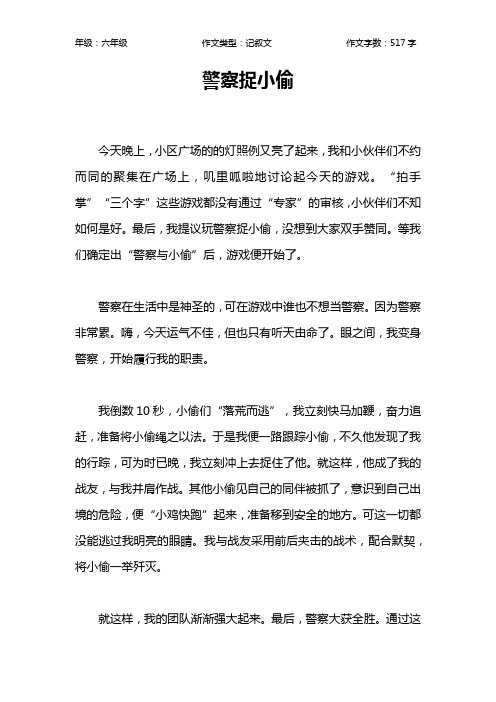 警察捉小偷作文【小学六年级500字】
