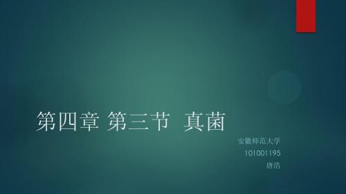 第四章 第三节  真菌