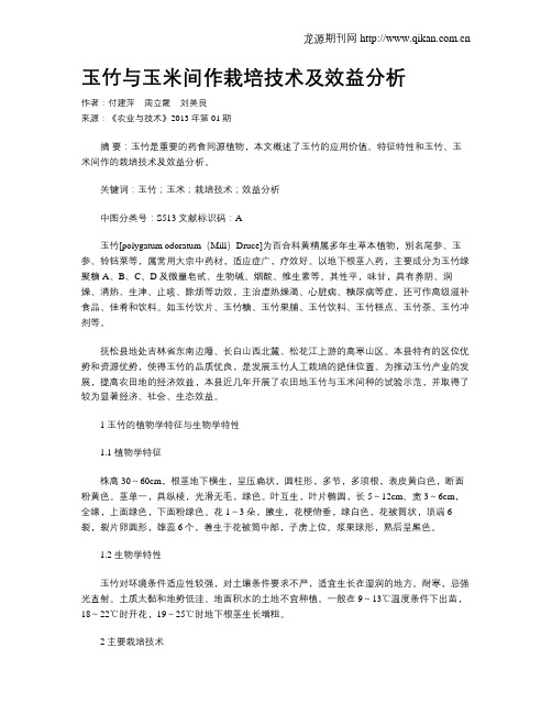 玉竹与玉米间作栽培技术及效益分析