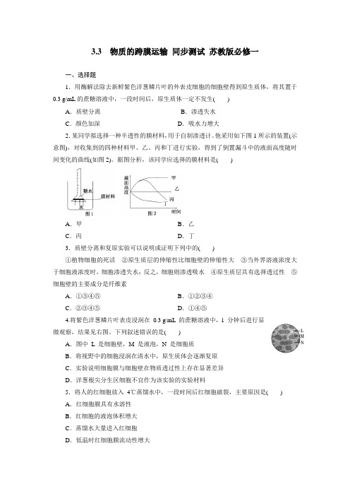 3.3  物质的跨膜运输 同步测试 苏教版必修一 (1)