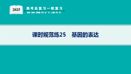 2025高考总复习一轮生物学配人教版(适用于新高考新教材)ppt 第6单元 遗传的分子基础 课时规范