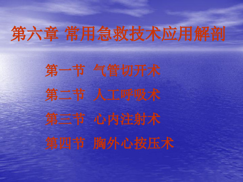 常用急救技术
