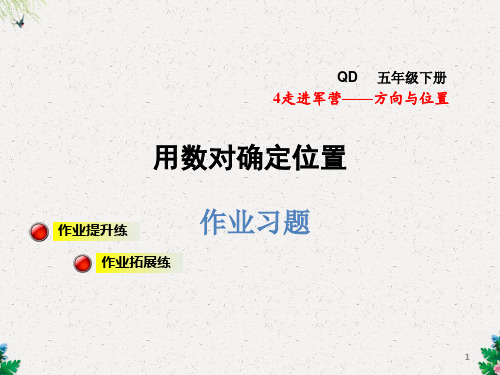 五年级下数学课件-用数对确定位置习题｜青岛版 