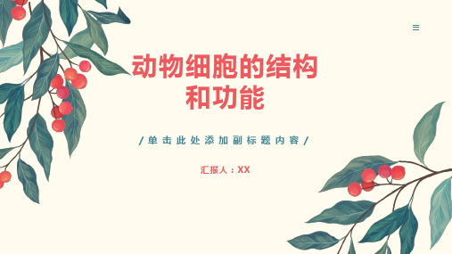 动物细胞结构和功能