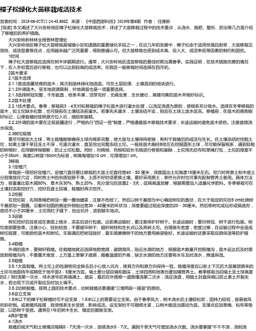 樟子松绿化大苗移栽成活技术