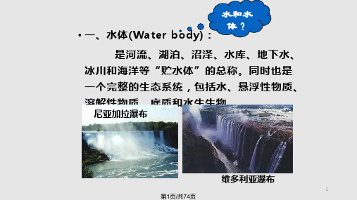 环境卫生学水体卫生PPT课件