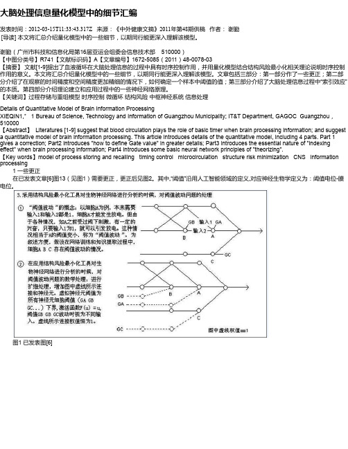大脑处理信息量化模型中的细节汇编
