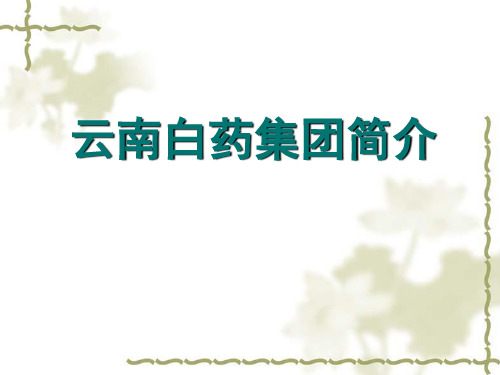 第四组云南白药案例分析