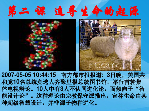 追寻生命的起源ppt 人民版