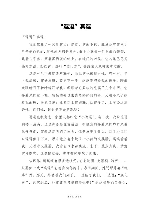 “逗逗”真逗_六年级作文