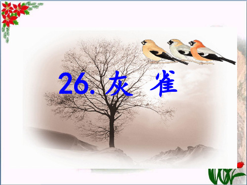 灰雀 人教(部编版) PPT 优秀课件